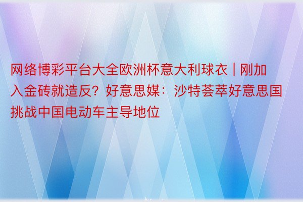 网络博彩平台大全欧洲杯意大利球衣 | 刚加入金砖就造反？好意思媒：沙特荟萃好意思国挑战中国电动车主导地位